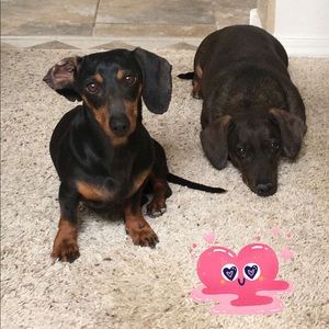 Meet your Posher, Maribel